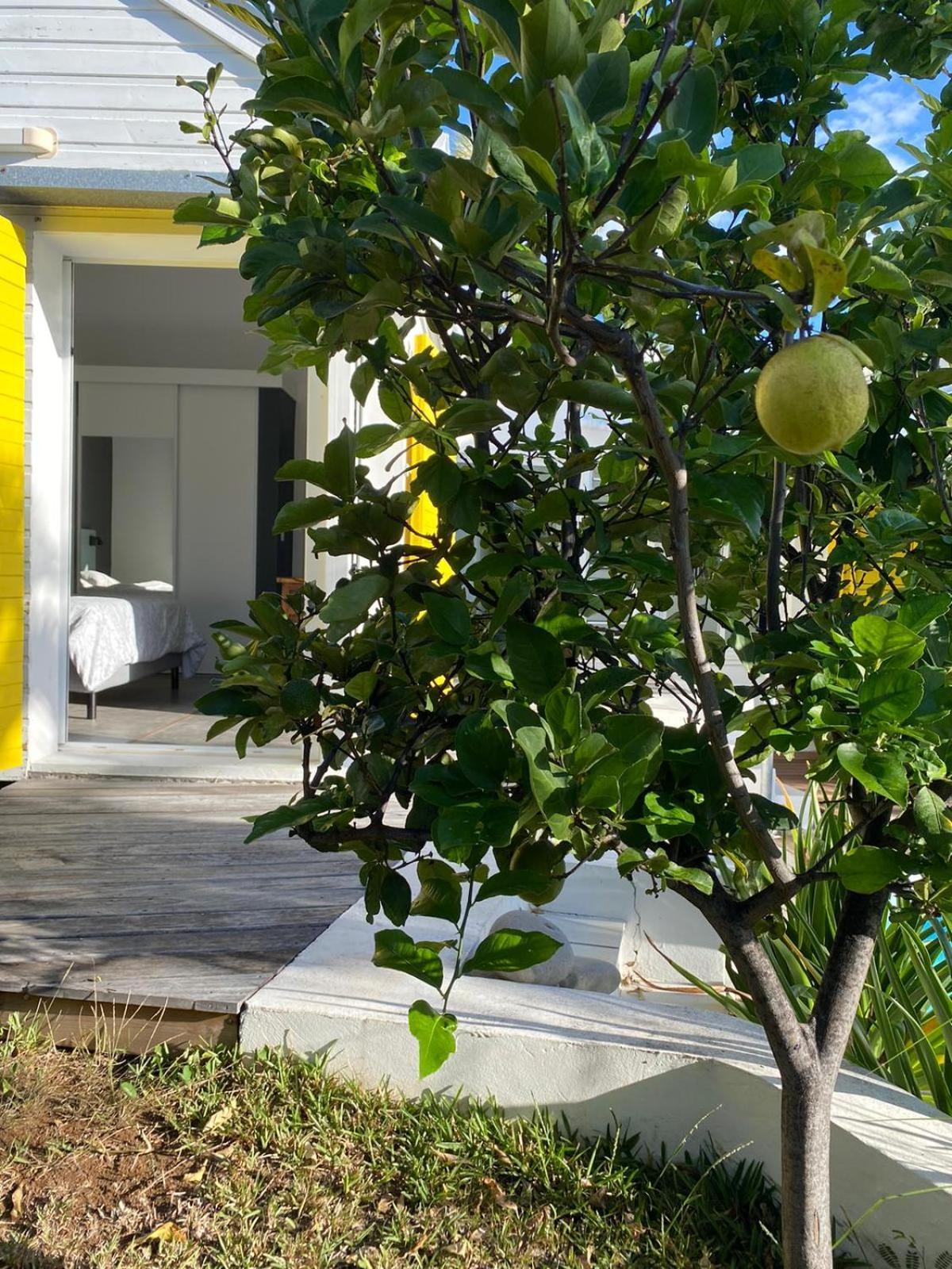 Villa Ylang Saint-Gilles-les Bains Luaran gambar